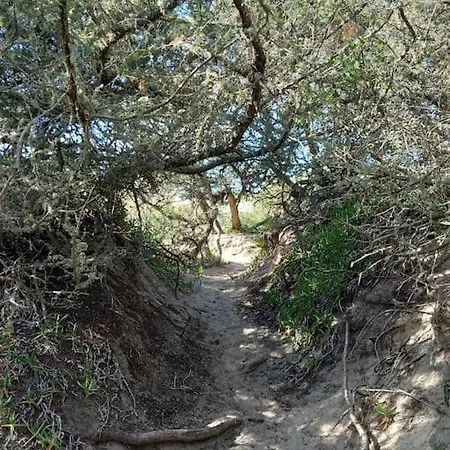 Chigias Con Giardino A Pochi Minuti Dal Mare *